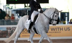 Jacqueline Brooks clinic- Inner Circle Farm